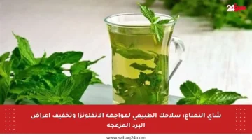 شاي النعناع: سلاحك الطبيعي لمواجهة الإنفلونزا وتخفيف أعراض البرد المزعجة